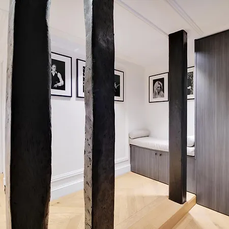 Thelander Serviced In Saint-germain Des Près - Rue Jacob Parigi